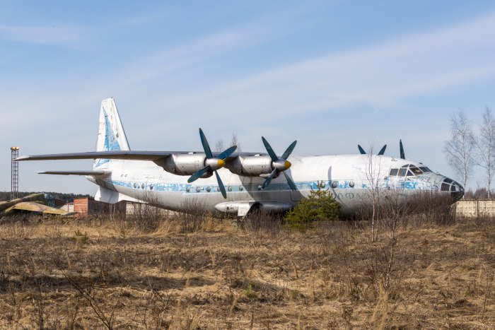 Самолет АН-10