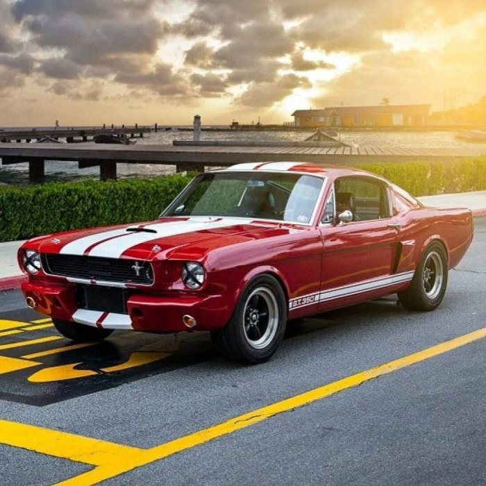 Форд Мустанг gt 350