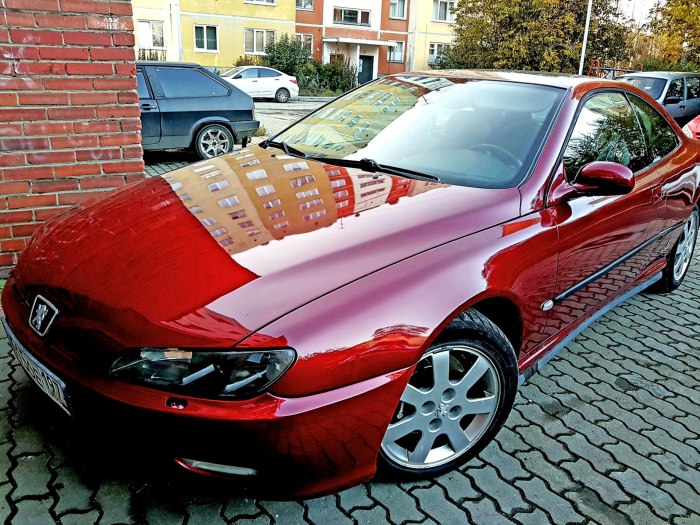 Peugeot 406 Coupe v6