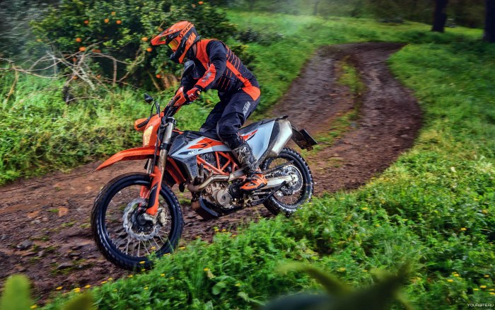 KTM 690 Enduro r