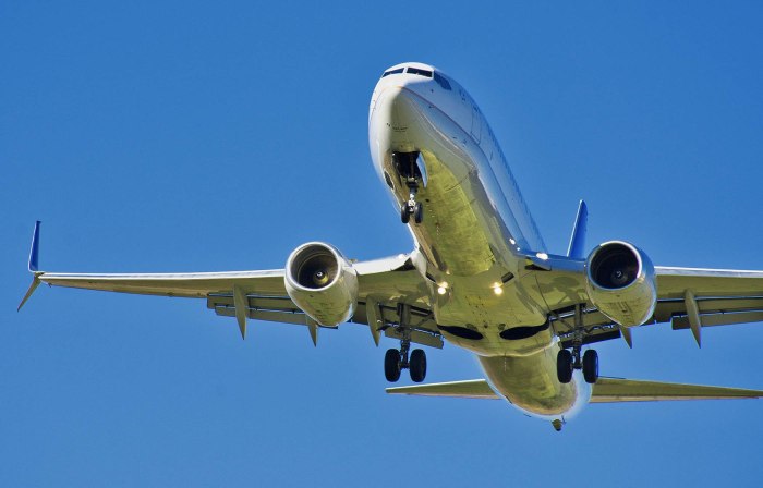 Горбатый самолет