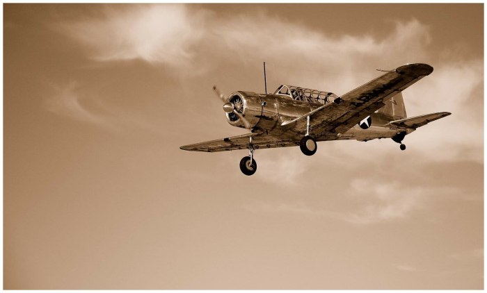 Фон самолет