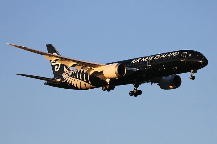 Air New Zealand самолеты