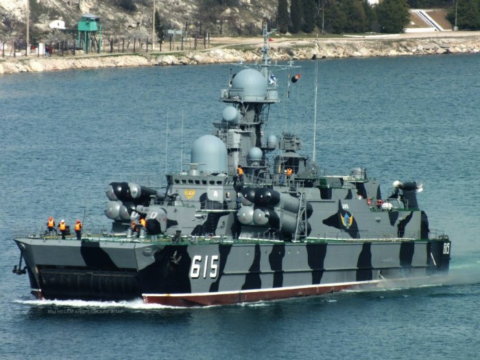 РКВП Бора проекта 1239