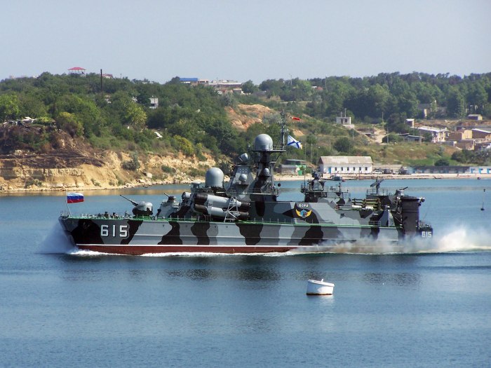 МРК пр. 1239 "сивуч"