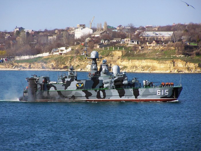 МРК Самум пр 1239