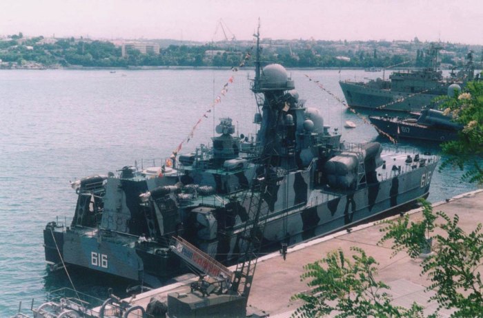 РКВП Бора 615