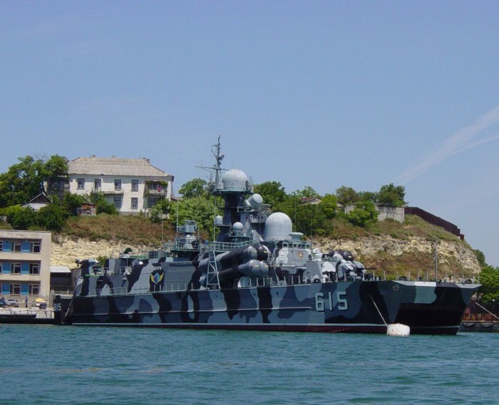 РКВП Бора 615