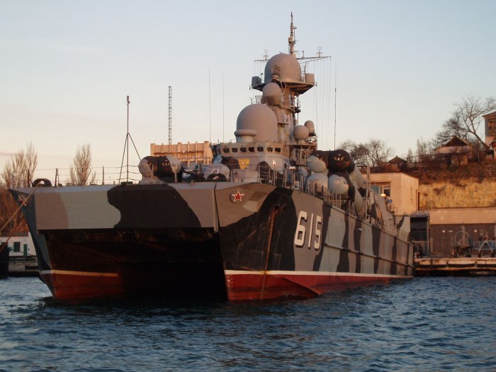 МРК Самум пр 1239