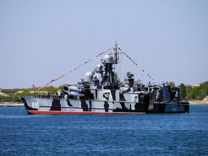 МРК пр. 1239 "сивуч"