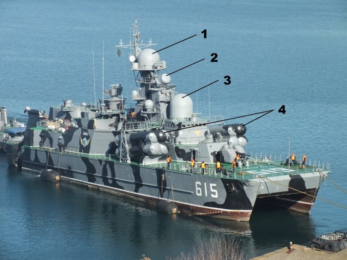 Проект 1239 Самум