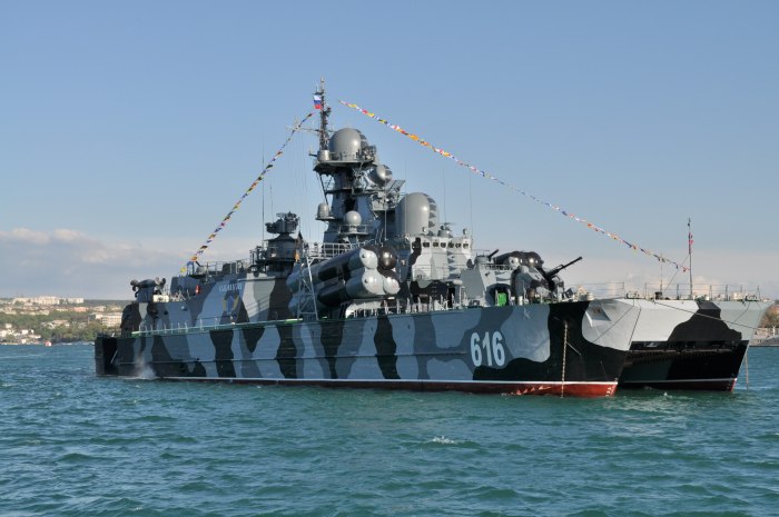 РКВП Бора проекта 1239