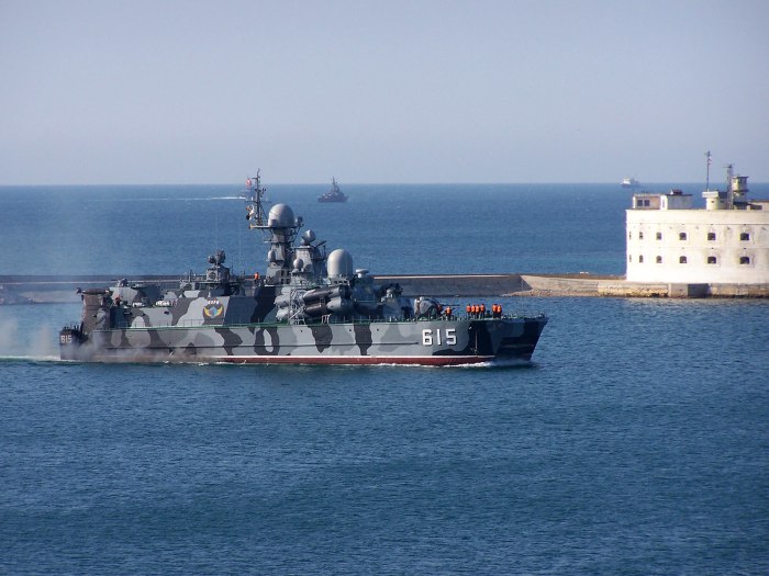 Ракетный корабль Бора