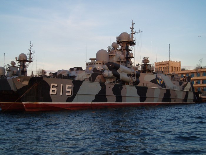 МРК пр. 1239 "сивуч"