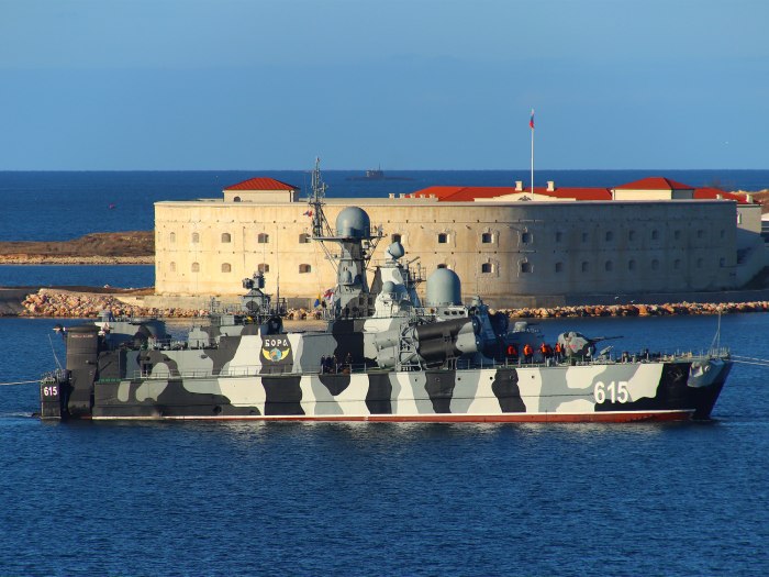 Ракетный корабль Бора