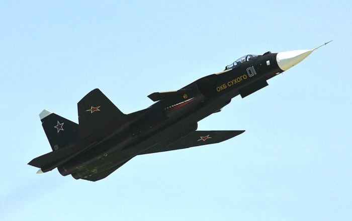 Самолет с обратной стреловидностью крыла Су-47