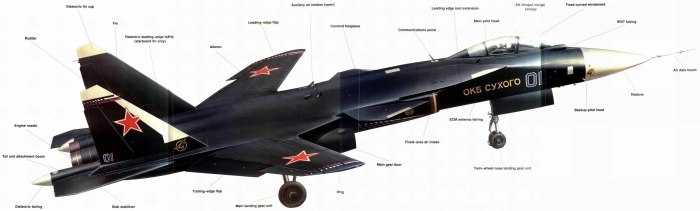 Самолет с обратной стреловидностью крыла Су-47