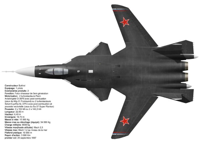 Самолет с обратной стреловидностью крыла Су-47