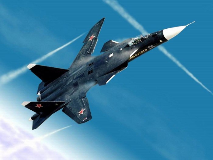 Обратная стреловидность крыла Су 47