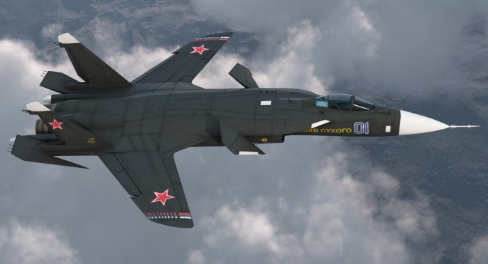 Самолет с обратной стреловидностью крыла Су-47