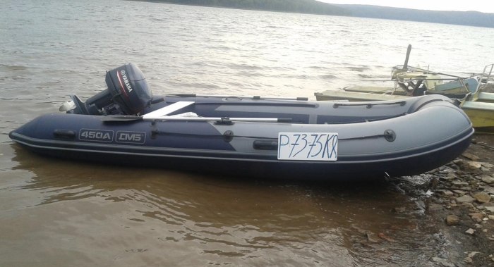 Моторная лодка дмб 380