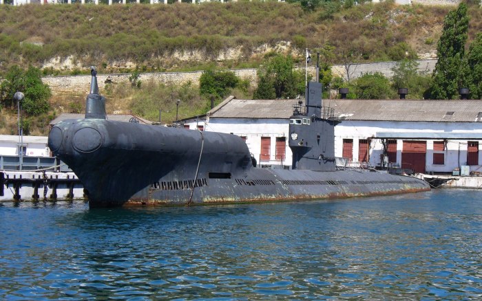 Подводная лодка Севастополь с 49