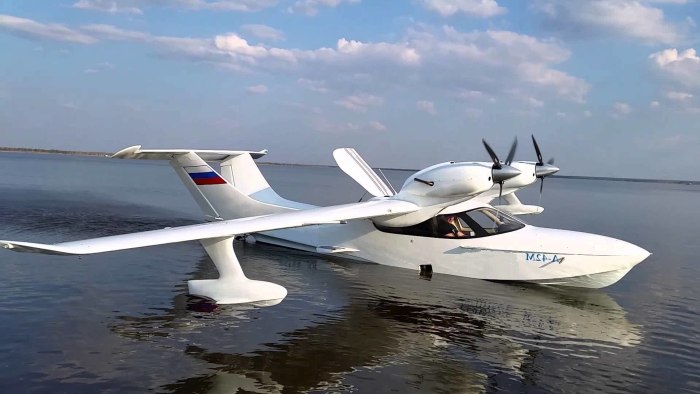 Самолет-амфибия л-42 "Чайка"