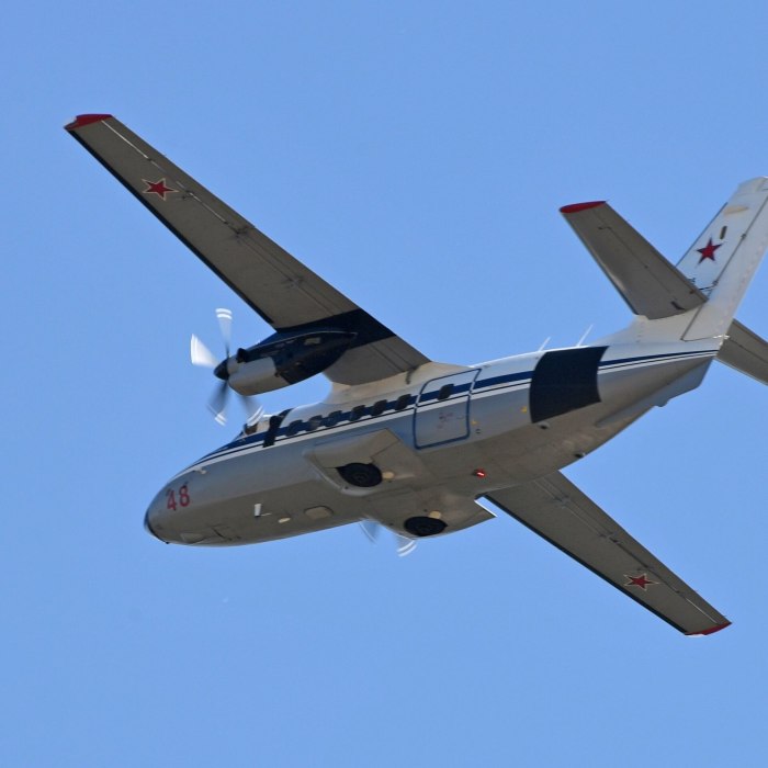 Л-410 самолет