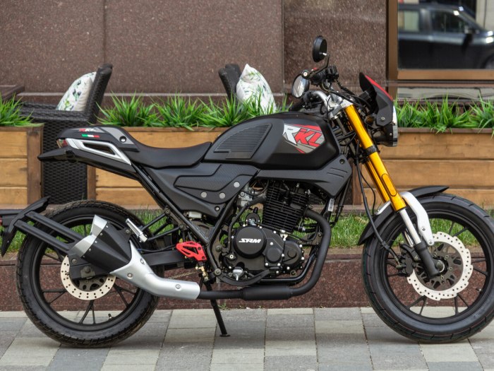 Сузуки Кобра 250