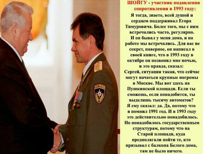 Шойгу 1993