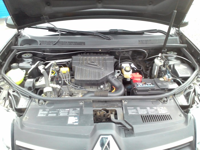 Моторный отсек Renault Sandero Stepway 1.6