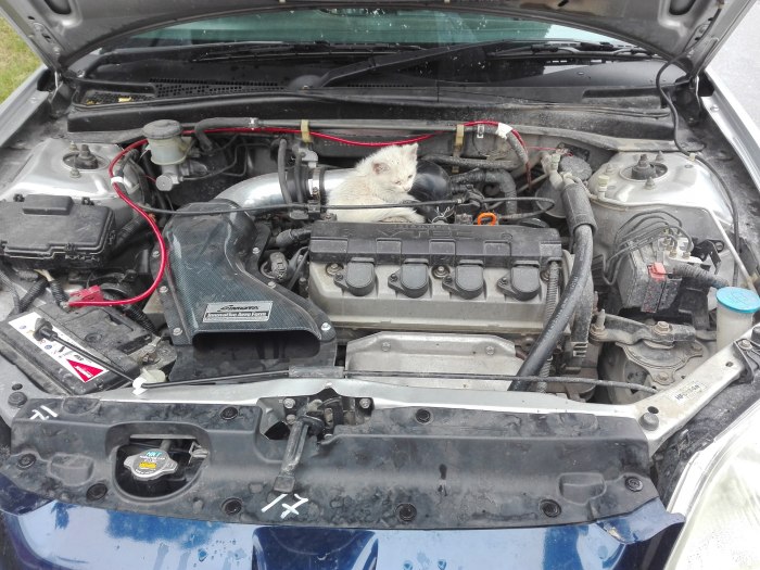 Honda Civic 7 под капотом