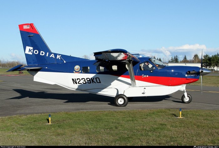 Kodiak 100 самолет характеристики