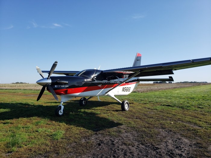 Quest Kodiak 100