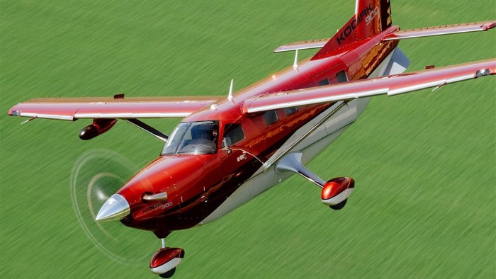 Quest Kodiak 900