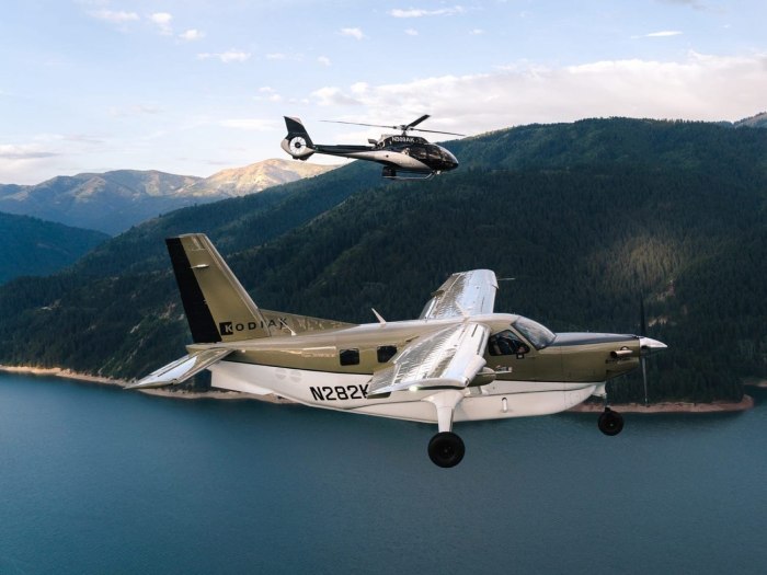 Quest Kodiak 100