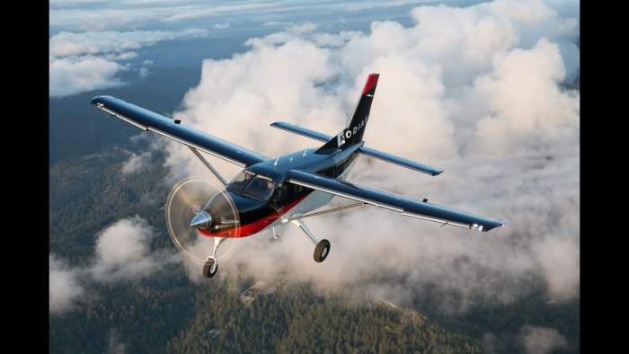 Kodiak 100