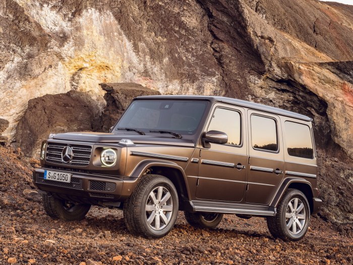 Mercedes-Benz g-klasse III (w463)