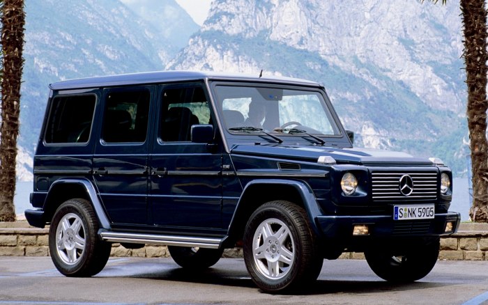 Mercedes-Benz g-class w461