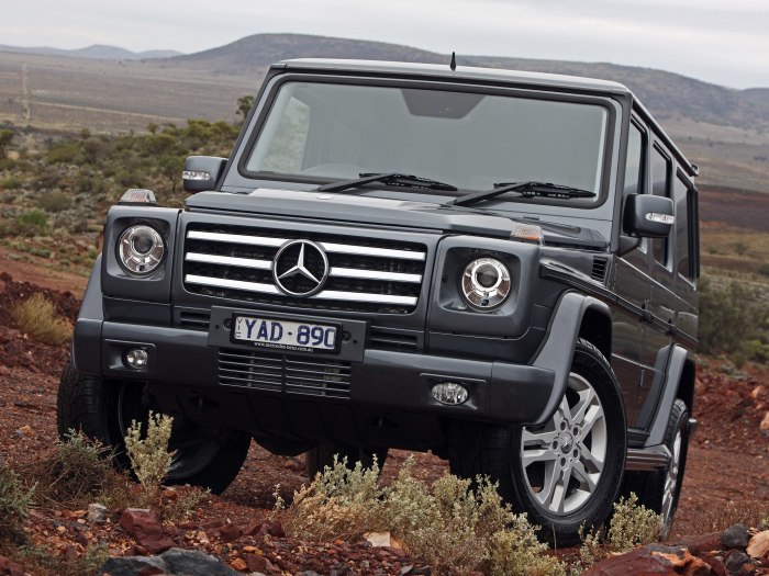 Mercedes Benz g class 2010