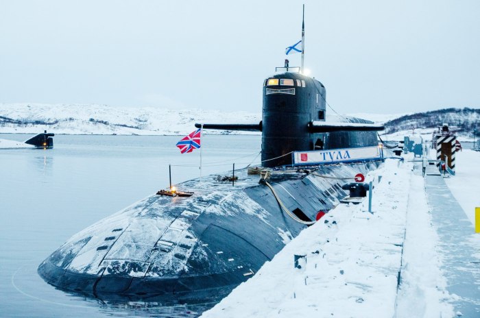 Подводные лодки проекта 667бдрм «Дельфин»