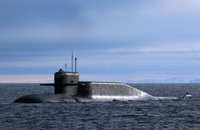 Подводная лодка 667бдрм "Дельфин"