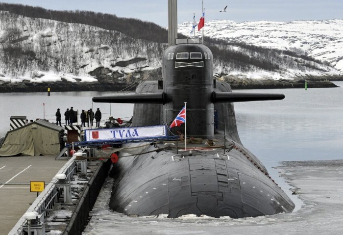 АПЛ 667 БДРМ Дельфин Тула