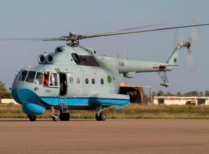 Вертолет-амфибия ми-14