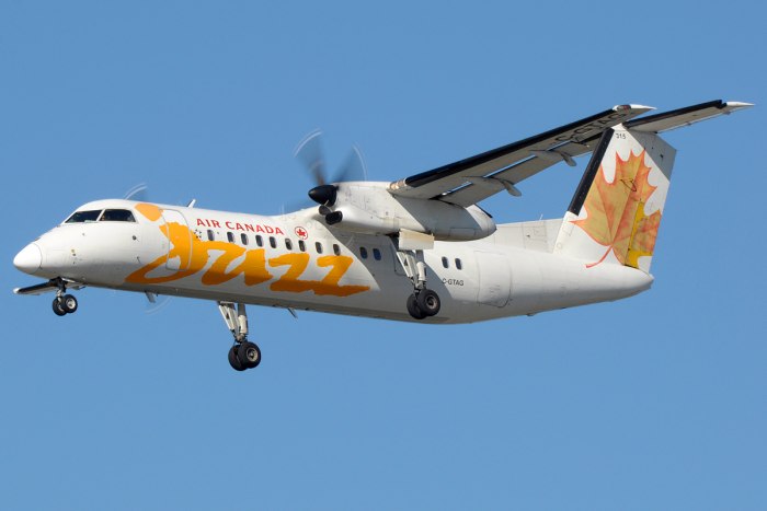 DHC 8-300 aircraft