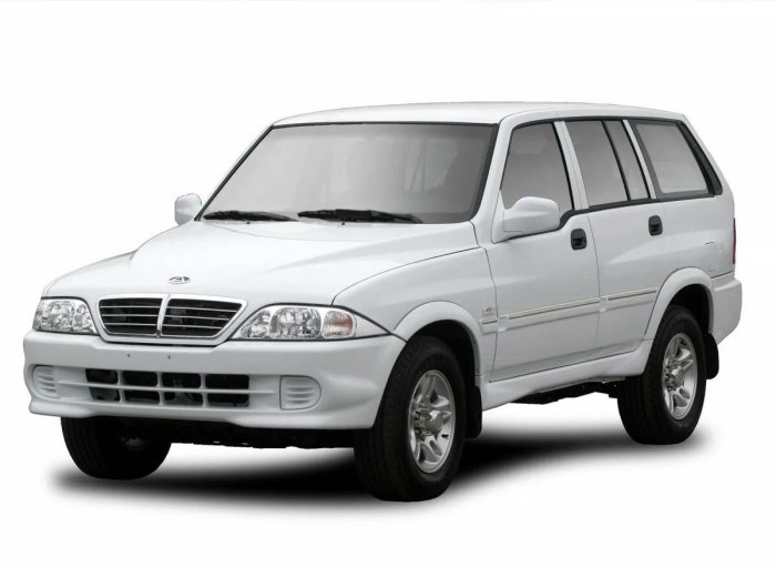 ТАГАЗ Road partner