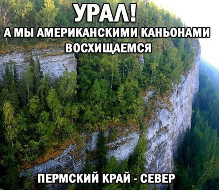 Прикол природа