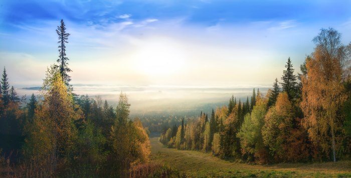 Тверские осенние туманы