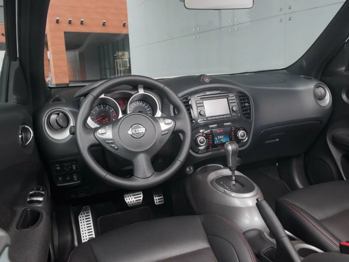Nissan Жук салон