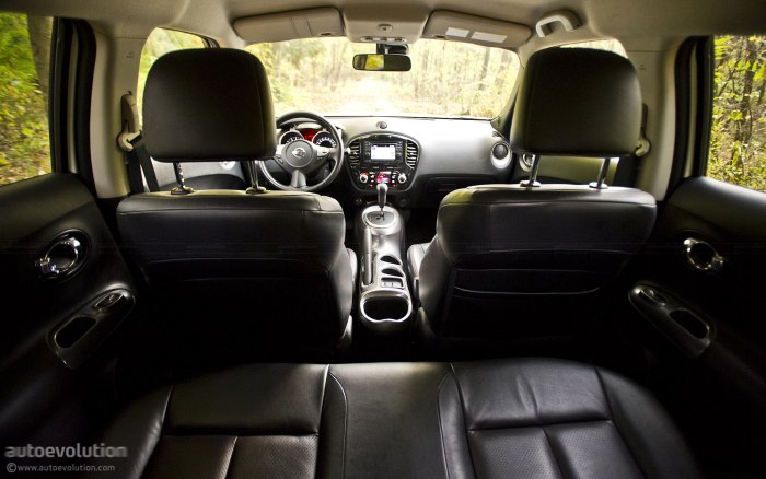 Nissan Juke 2011 салон